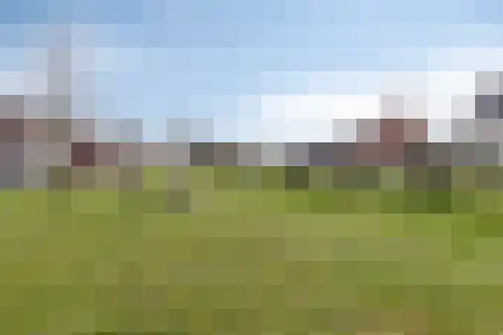Zagerij 3 Best thumbnail 27