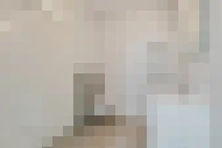 Zagerij 3 Best thumbnail 5