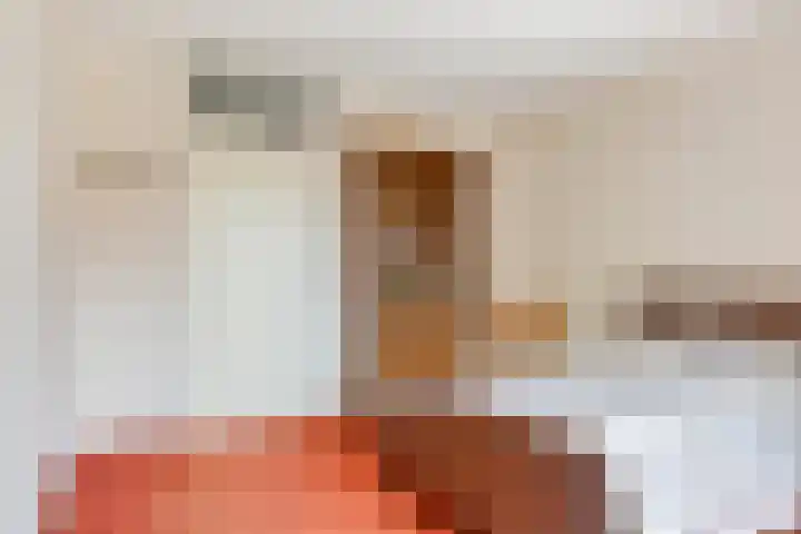 Zagershof 16 Asten thumbnail 25