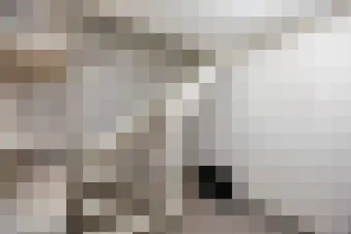 Zagershof 16 Asten thumbnail 31