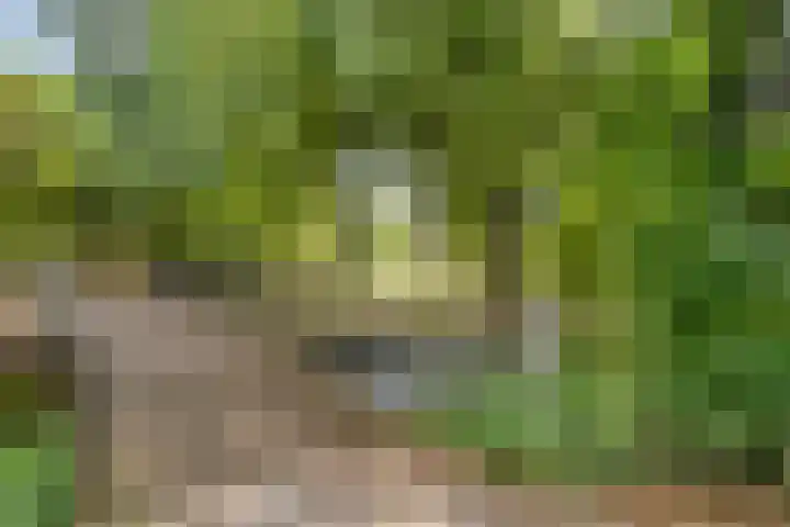 Zagershof 16 Asten thumbnail 42