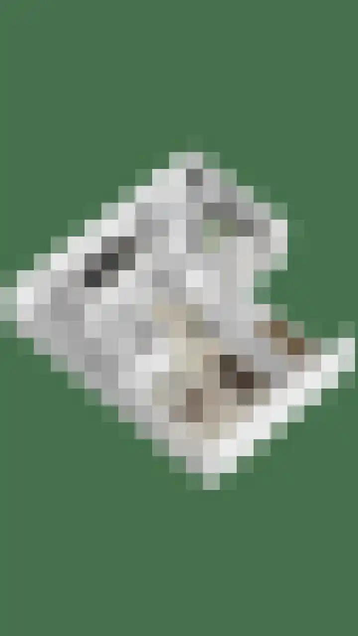 Zagershof 16 Asten thumbnail 45