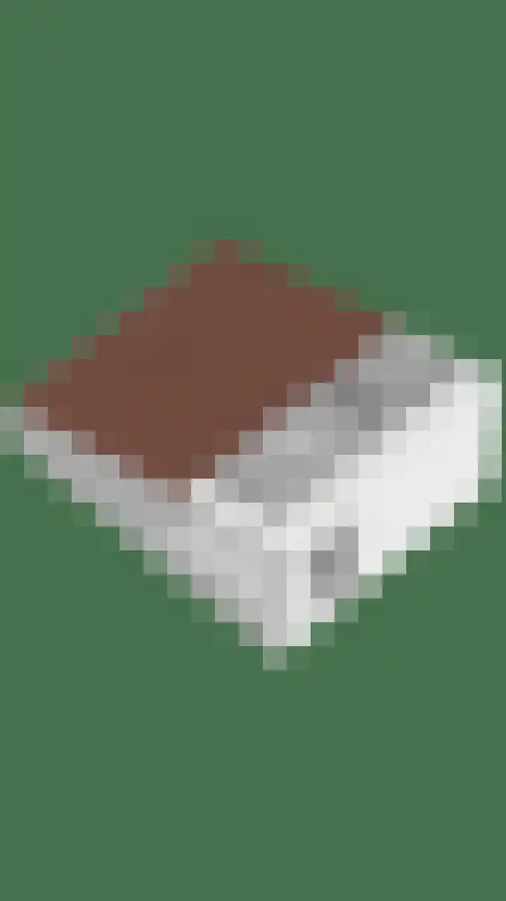 Zagershof 16 Asten thumbnail 49