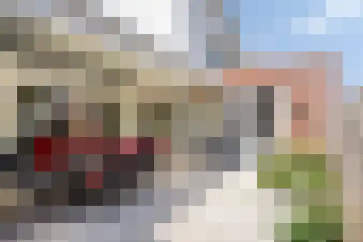 Zagershof 16 Asten thumbnail 6