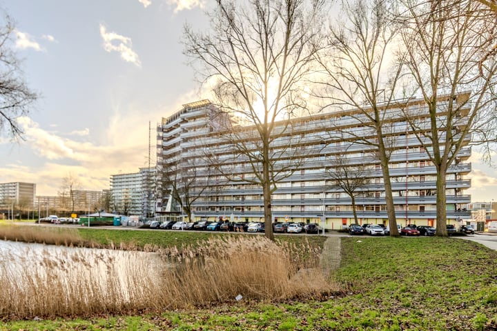 Zalkerbos 117 in Zoetermeer foto