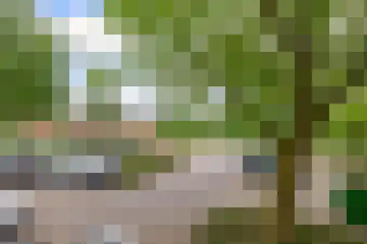 Zalkerbos 16 Zoetermeer thumbnail 10