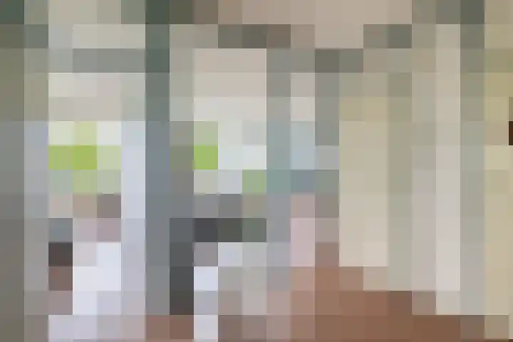 Zalkerbos 16 Zoetermeer thumbnail 31