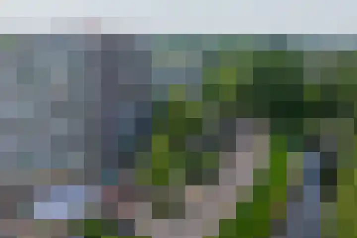 Zalkerbos 16 Zoetermeer thumbnail 38