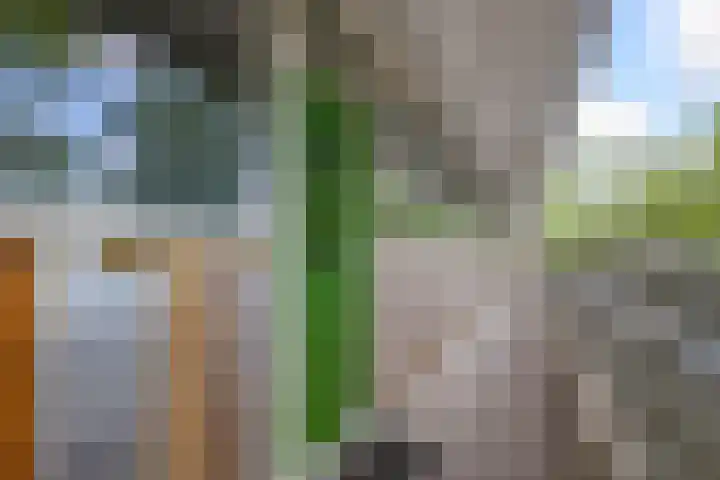 Zalkerbos 16 Zoetermeer thumbnail 8