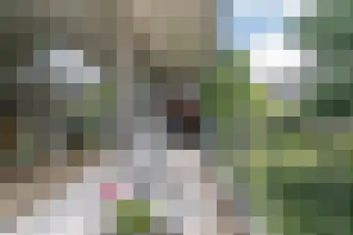 Zalkerbos 191 Zoetermeer thumbnail 18