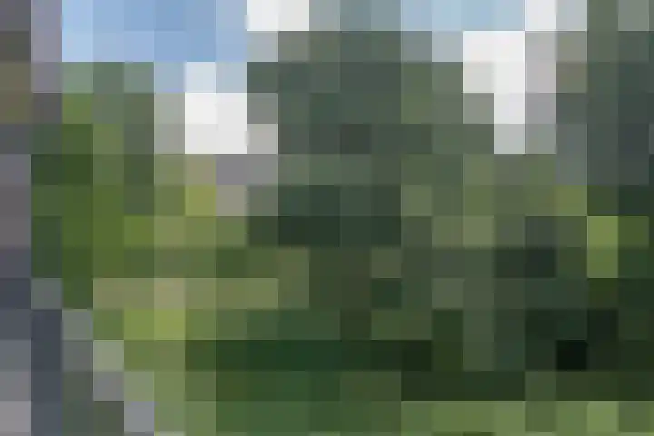 Zalkerbos 191 Zoetermeer thumbnail 19