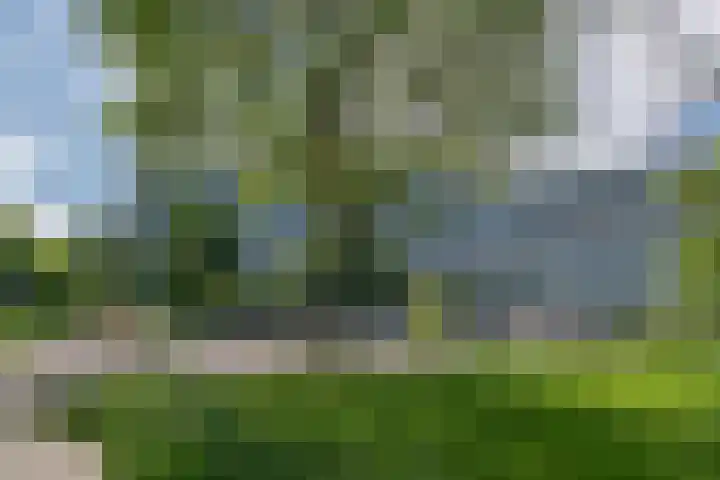 Zalkerbos 191 Zoetermeer thumbnail 21