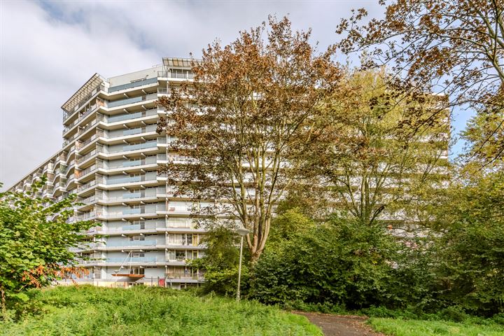 Zalkerbos 192 in Zoetermeer foto