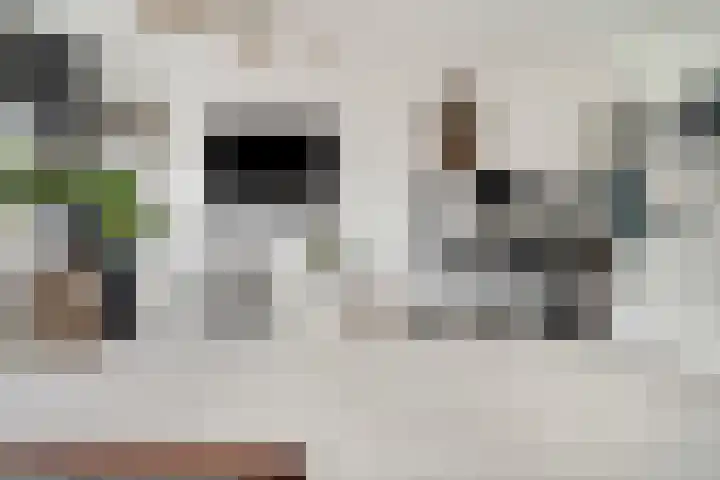 Zalkerbos 218 Zoetermeer thumbnail 12
