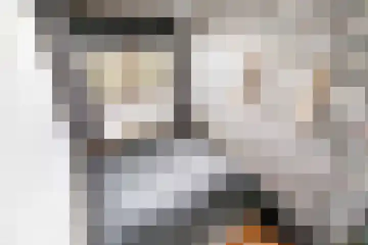 Zalkerbos 218 Zoetermeer thumbnail 22