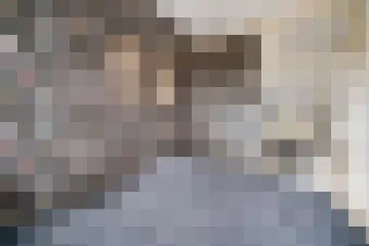 Zalkerbos 218 Zoetermeer thumbnail 23