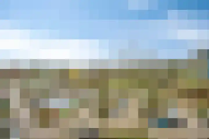 Zalkerbos 218 Zoetermeer thumbnail 35