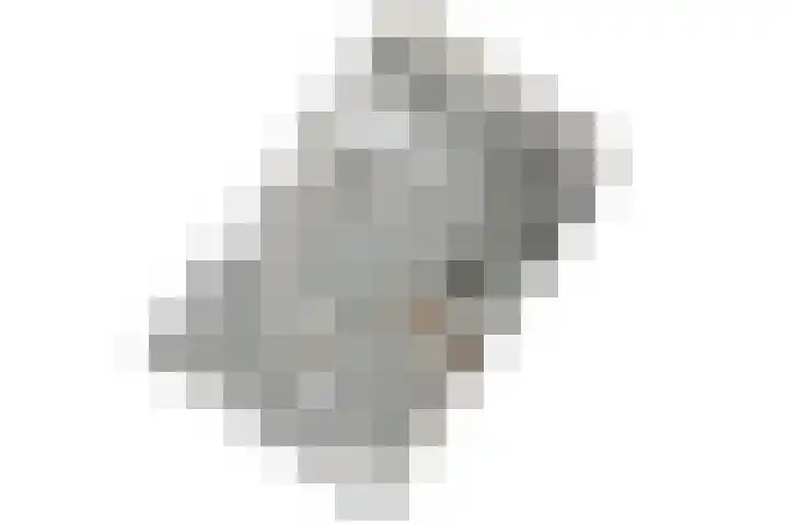 Zalkerbos 218 Zoetermeer thumbnail 40