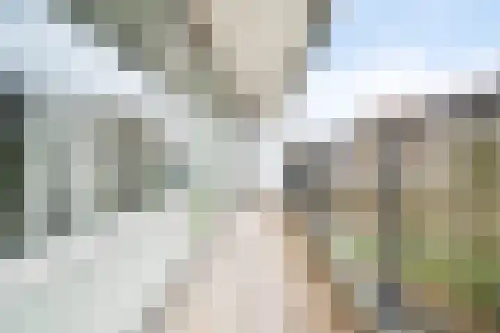 Zalkerbos 218 Zoetermeer thumbnail 8