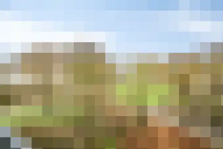Zalkerbos 218 Zoetermeer thumbnail 9