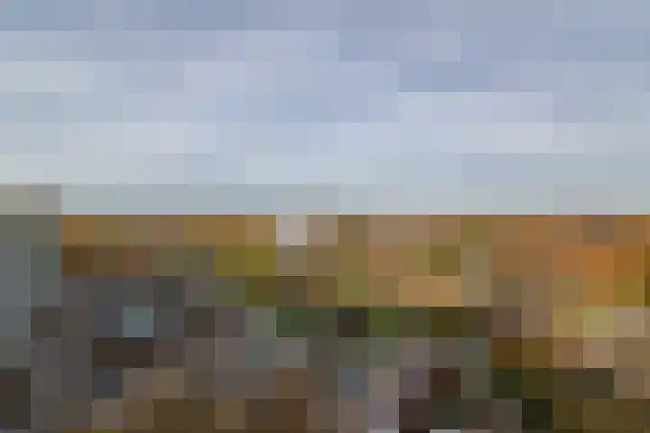 Zalkerbos 295 Zoetermeer thumbnail 28