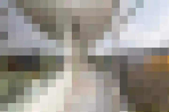 Zalkerbos 295 Zoetermeer thumbnail 8