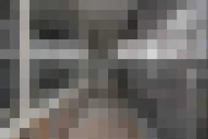 Zalkerbos 48 Zoetermeer thumbnail 5