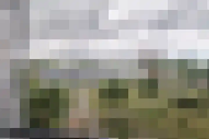 Zalkerbos 48 Zoetermeer thumbnail 8