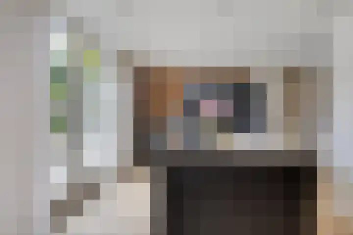 Zalm 10 Oss thumbnail 11