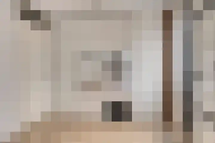 Zalm 10 Oss thumbnail 13