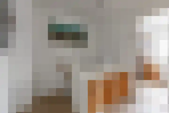 Zalm 10 Oss thumbnail 14