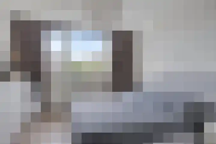 Zalm 10 Oss thumbnail 18