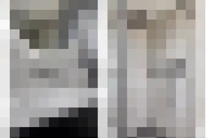 Zalm 10 Oss thumbnail 21