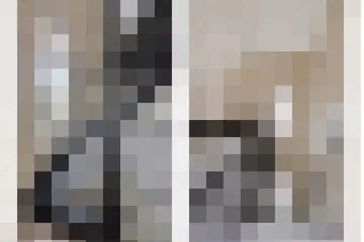 Zalm 10 Oss thumbnail 27