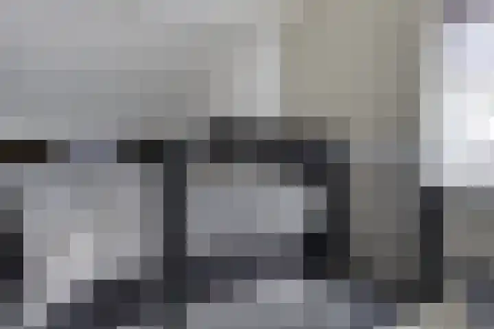 Zalm 10 Oss thumbnail 29