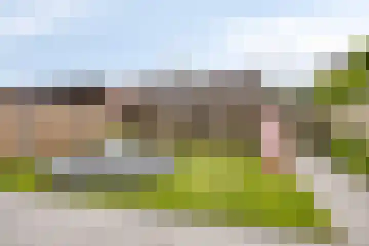 Zalm 10 Oss thumbnail 34