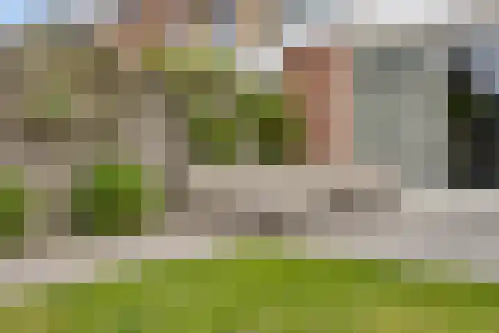 Zalm 10 Oss thumbnail 36