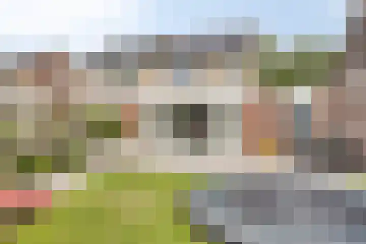 Zalm 10 Oss thumbnail 37