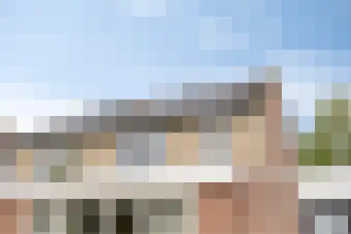 Zalm 10 Oss thumbnail 38