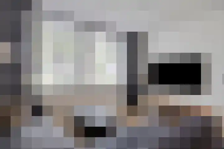 Zalm 10 Oss thumbnail 4