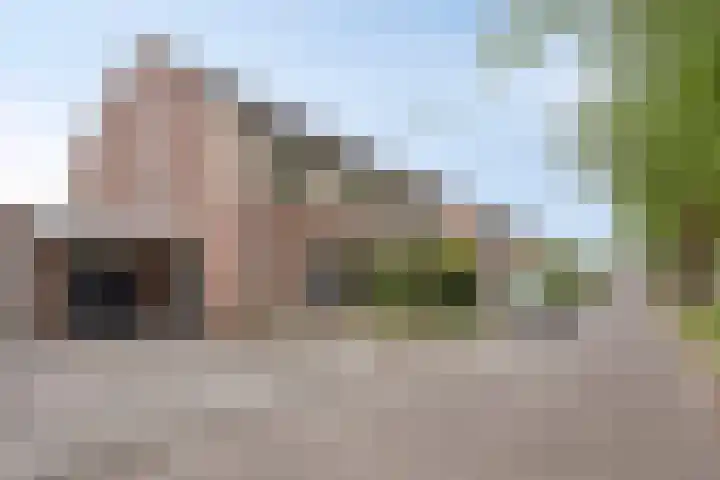 Zalm 10 Oss thumbnail 40