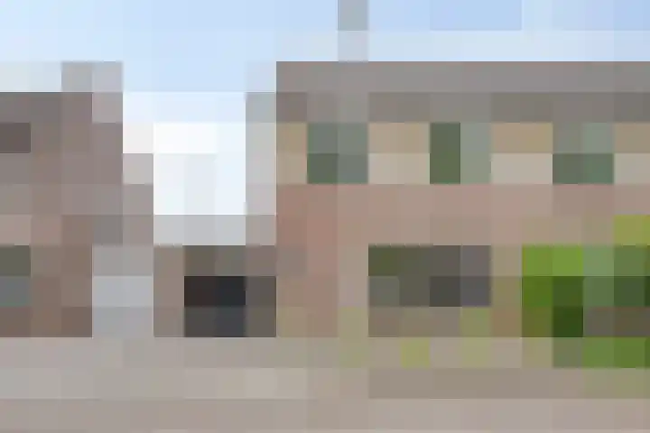Zalm 10 Oss thumbnail 41