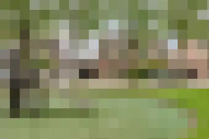 Zalm 10 Oss thumbnail 42