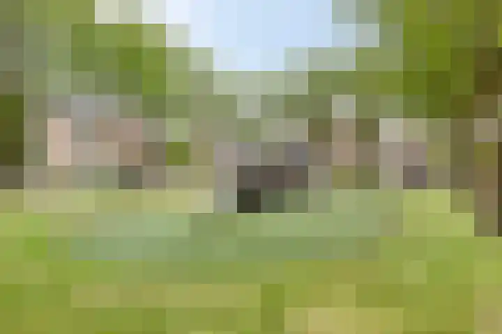 Zalm 10 Oss thumbnail 43