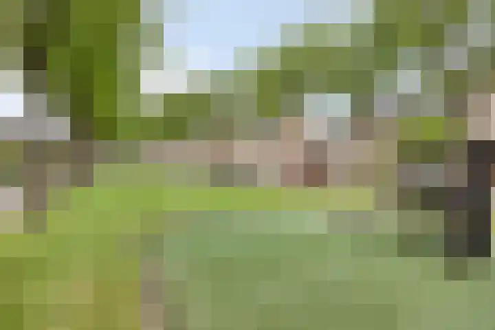 Zalm 10 Oss thumbnail 44