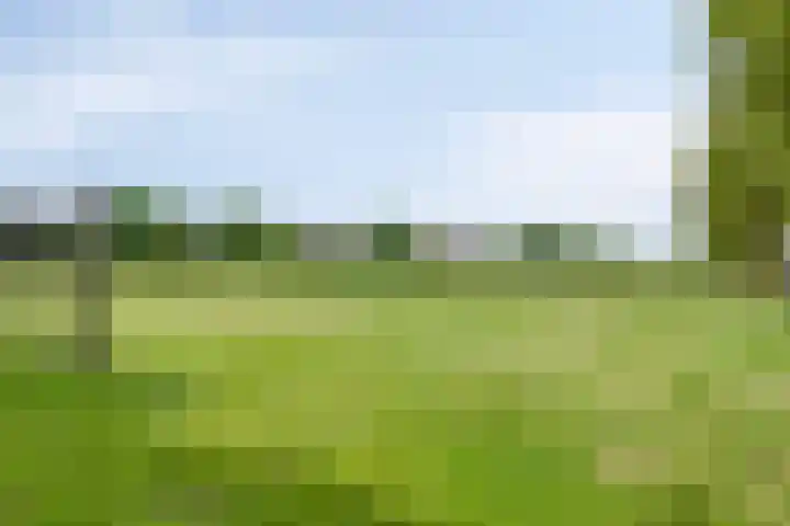 Zalm 10 Oss thumbnail 45