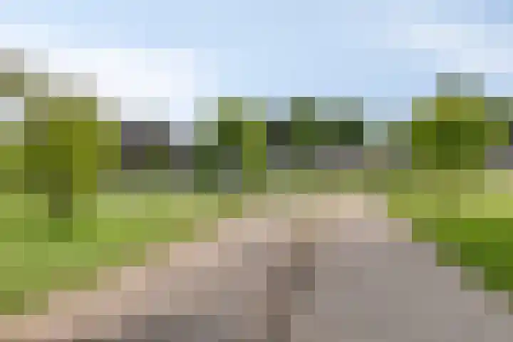 Zalm 10 Oss thumbnail 46