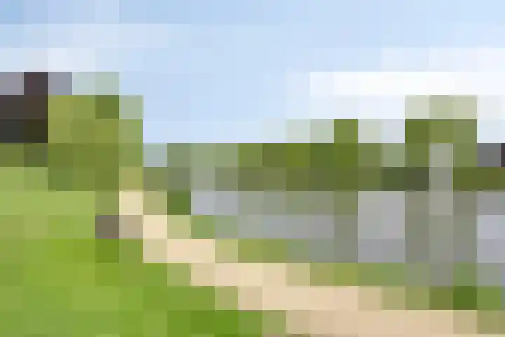 Zalm 10 Oss thumbnail 47