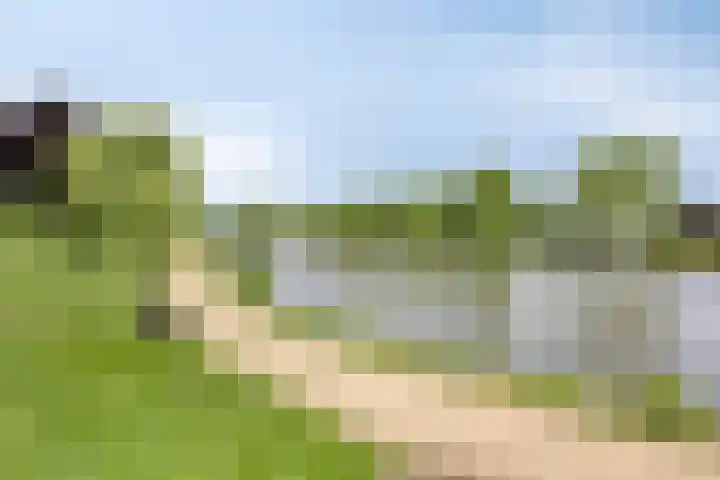 Zalm 10 Oss thumbnail 48