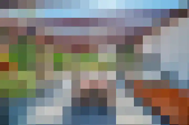 Zalm 10 Oss thumbnail 49